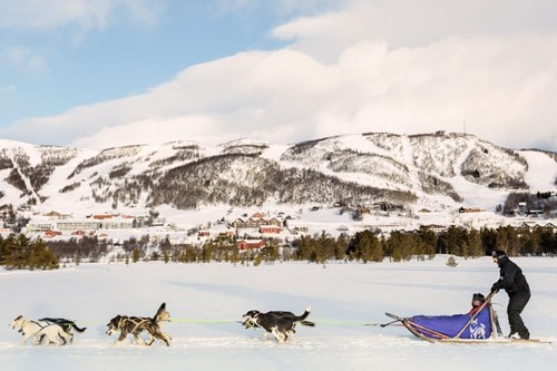 husky sledding why ski in geilo
